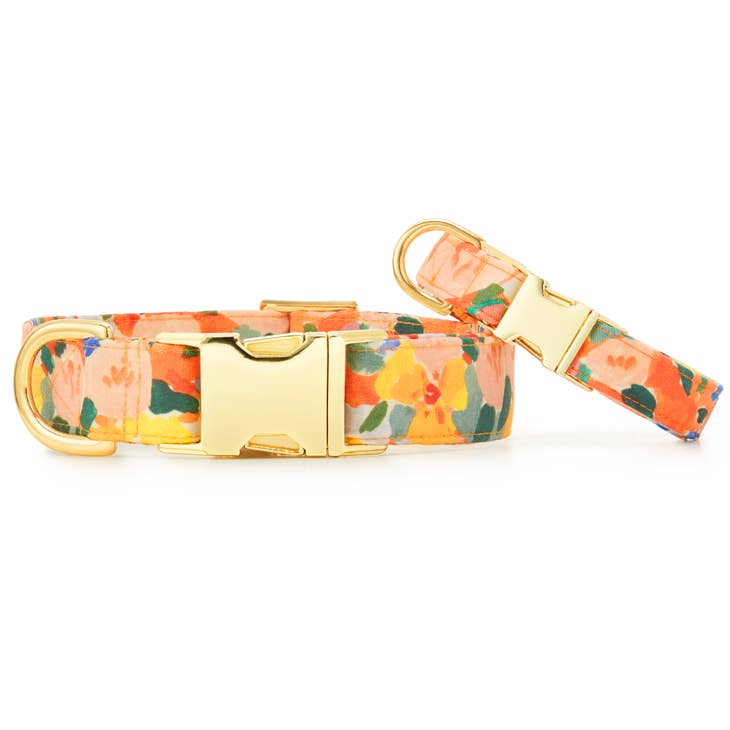 The Foggy Dog Collar - Clementine