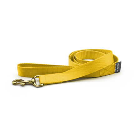 Major Darling Leash  1" wide / 6' long - Dandelion
