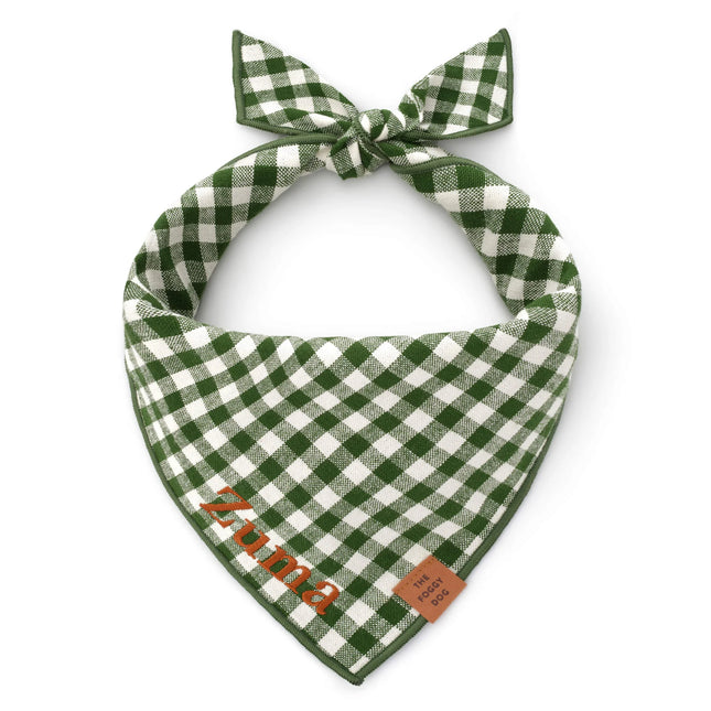 The Foggy Dog - Red Stripe Dog Bandana