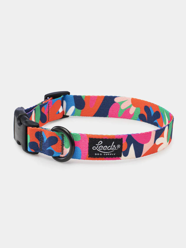 Leeds Dog Collar - Jane