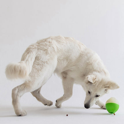 Benebone Pawbler Treat Dispenser