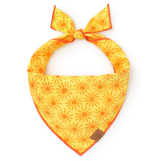 The Foggy Dog - Here Comes the Sun Dog Bandana
