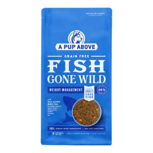 A Pup Above Fish Gone Wild