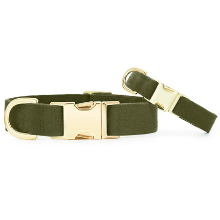 The Foggy Dog - Olive Dog Collar