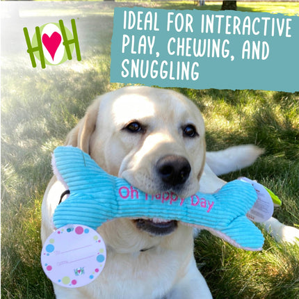 HuggleHounds Happy Birthday Dog Bone Toy