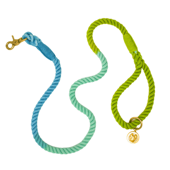 Pink Papyrus - Rope Leash 6ft in Alexandria Blue Green Ombre