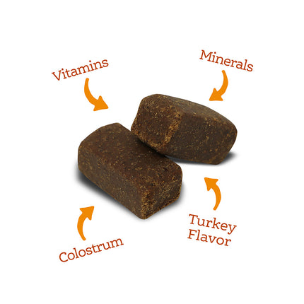 Nutrisource Amplifull Multi Vitamin Soft Chews 12.5oz