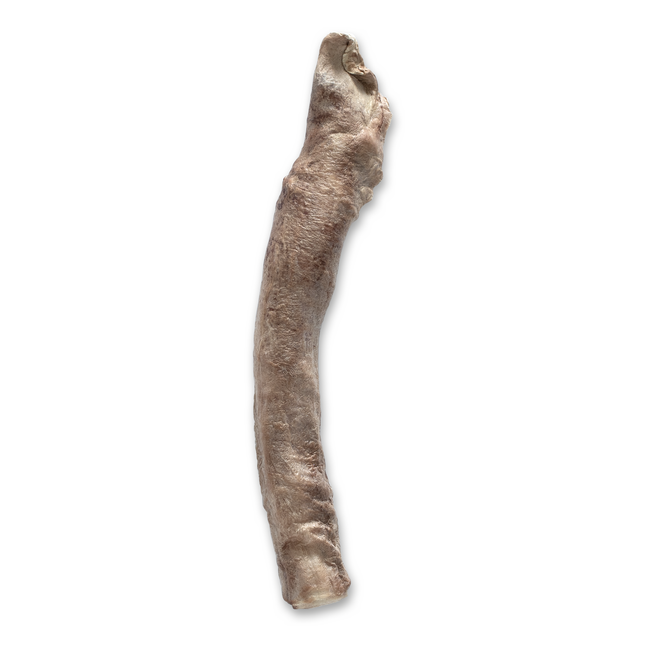 Bones & Co. Freeze-dried Bully Stick