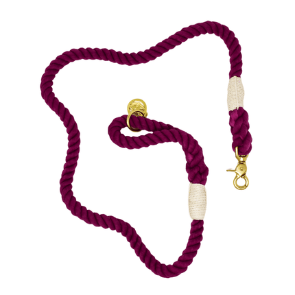 Pink Papyrus - Rope Leash 6ft in Bree Magenta