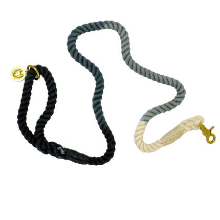 Pink Papyrus - Ombre Rope Leash 6ft in Cairo Black