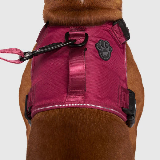 Canada Pooch Complete Control Harness - Plum