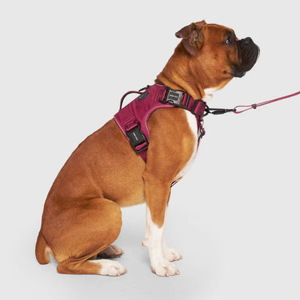 Canada Pooch Complete Control Harness - Plum