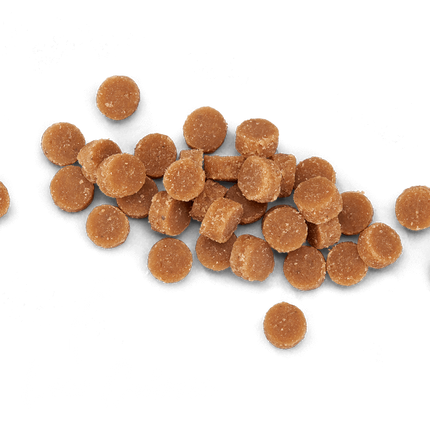 Tiki Cat Soft & Chewy Tuna Treats 2oz