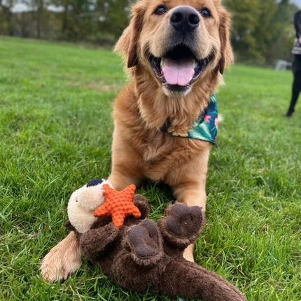 Tall Tails Otter Rope Dog Toy