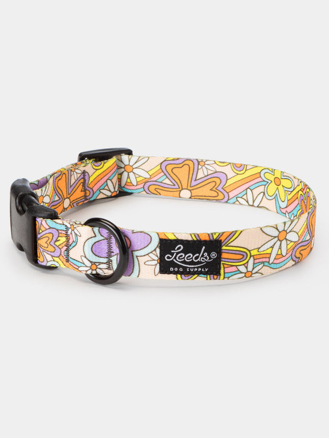 Leeds Dog Collar - Dazey