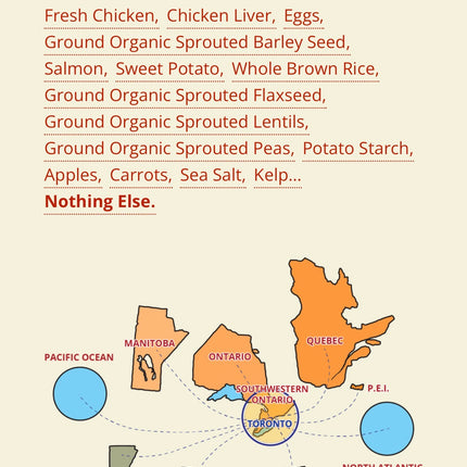 Carna4 Chicken Whole Food Nuggets for Dogs