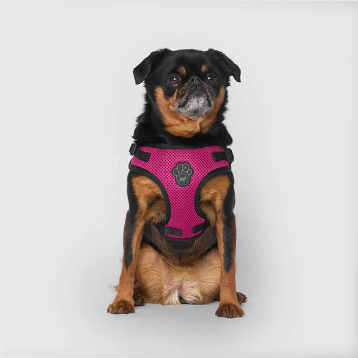 Canada Pooch Easy-On Harness Plum