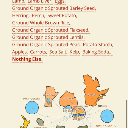 Carna4 Easy-Chew Lamb Whole Food Nuggets for Dogs