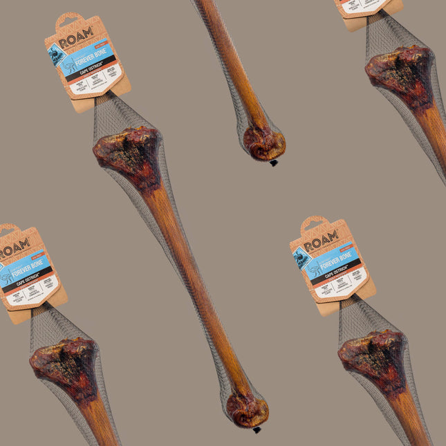 Roam- Forever Bone Cape Ostrich