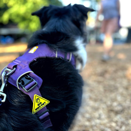 Jiby Dog Crew - Do Not Pet Dog Badge