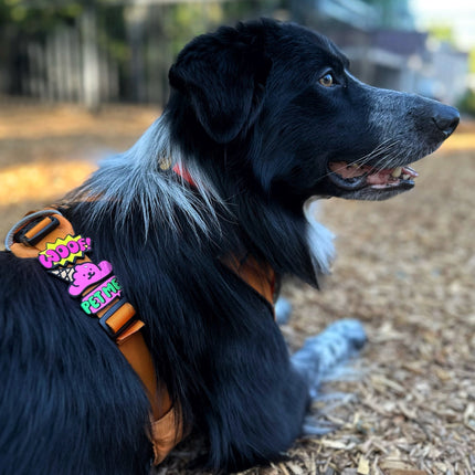 Jiby Dog Crew - Pet Me Dog Badge