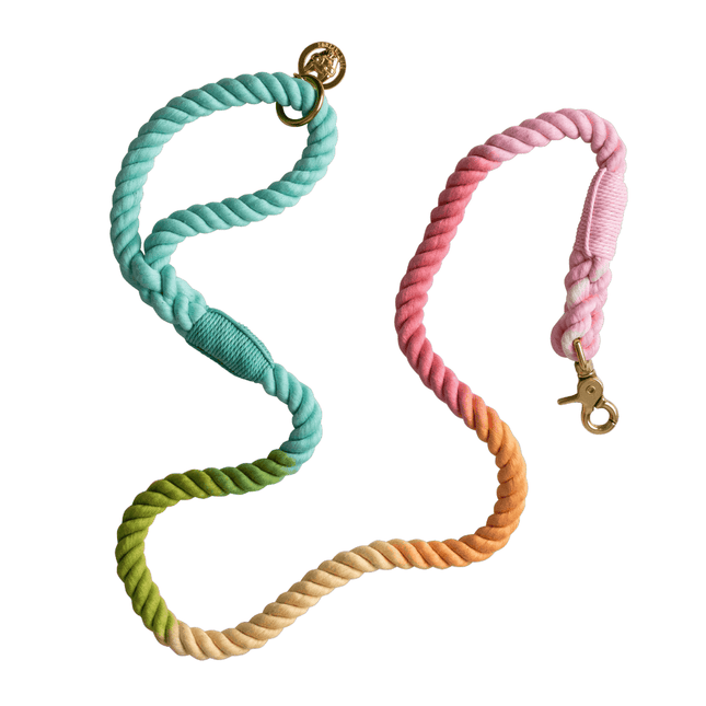 Pink Papyrus - Rope Leash 6ft in Halston Pastel Ombre