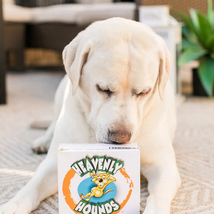 Heavenly Hounds Canine Relaxation Square