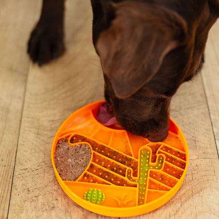 Messy Mutts Interactive Lick Bowl Slow Feeder - Desert