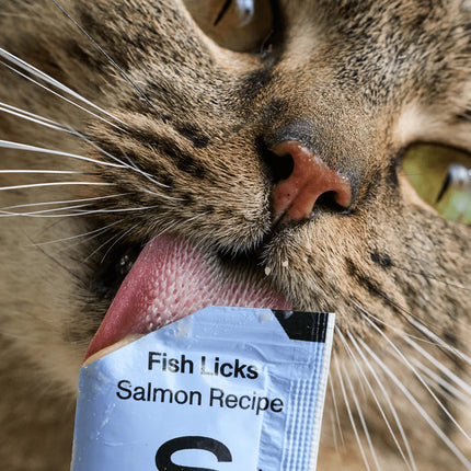 Smalls Lickable Treats 8 Pack - Fish Licks Salmon Recipe 4oz