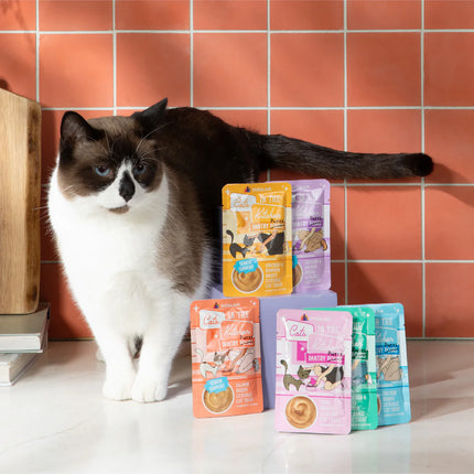 Weruva Cats In the Kitchen Pantry pours Lickable Treat - Salmon Bisque Senior Support 1.4oz