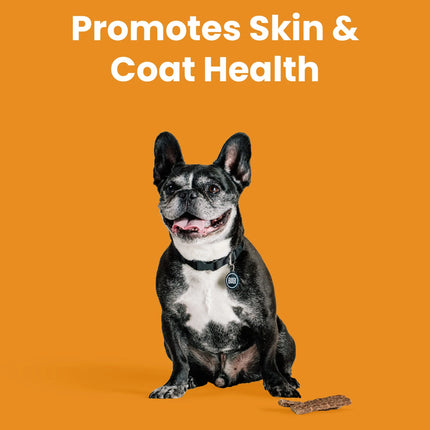 Bixbi Skin and Coat Treats - Chicken Jerky 10oz