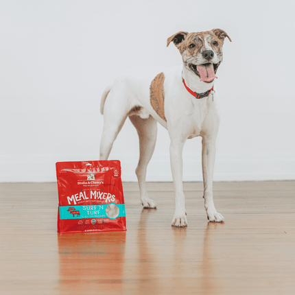 Stella & Chewy's freezedried Surf 'N Turf Meal Mixers