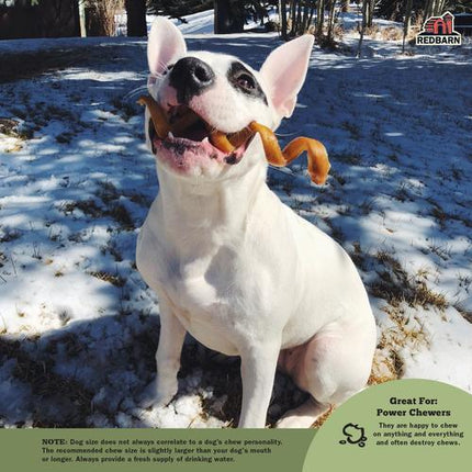 Redbarn Odor Free Bully Spring