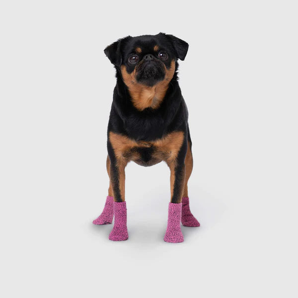 Canada Pooch - The Basic Non-Slip Dog Socks Pink