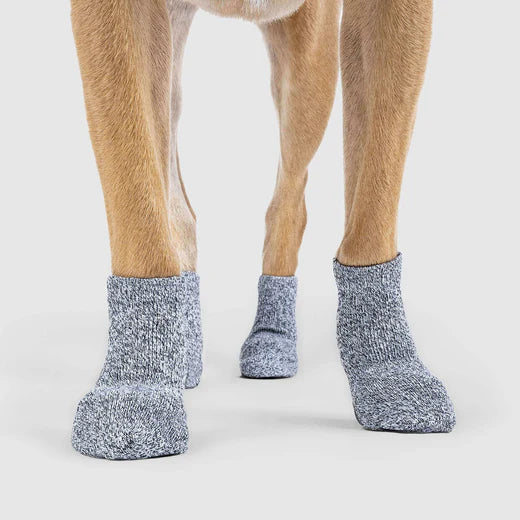 Canada Pooch - The Basic Non-Slip Dog Socks Grey