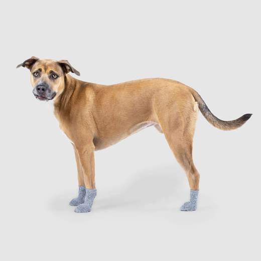 Canada Pooch - The Basic Non-Slip Dog Socks Grey