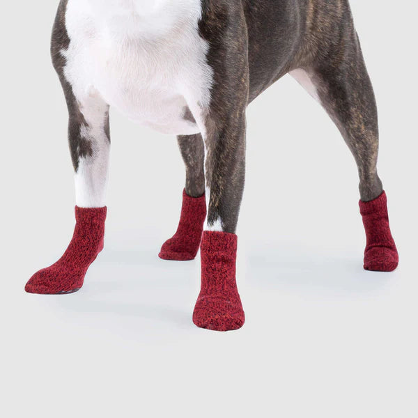 Canada Pooch - The Basic Non-Slip Dog Socks Red