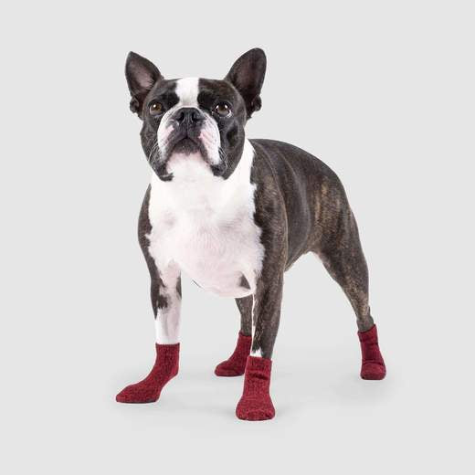 Canada Pooch - The Basic Non-Slip Dog Socks Red