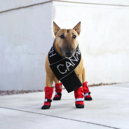 Canada Pooch Soft Shield Dog Boots - Red