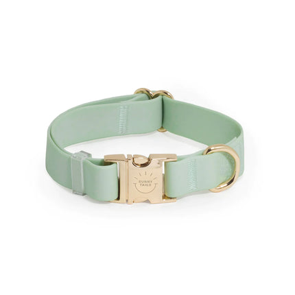 Sunny Tails - Pistachio Green Waterproof Dog Collar