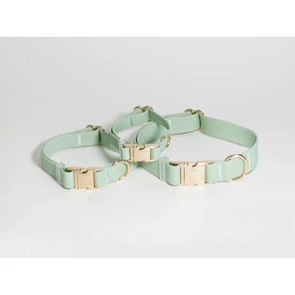 Sunny Tails - Pistachio Green Waterproof Dog Collar