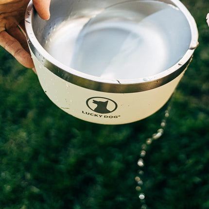 Lucky Dog Indulge Dog Bowl