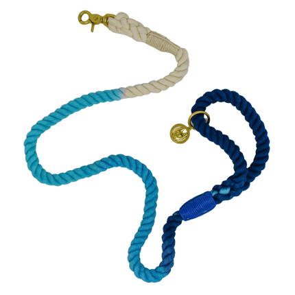 Pink Papyrus - Ombre Rope Leash 6ft in Kennedy Blue