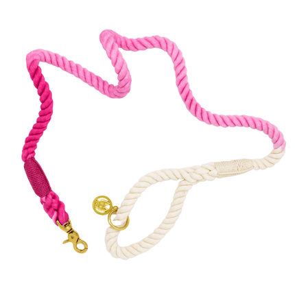 Pink Papyrus - Ombre Rope Leash 6ft in Maggie Pink