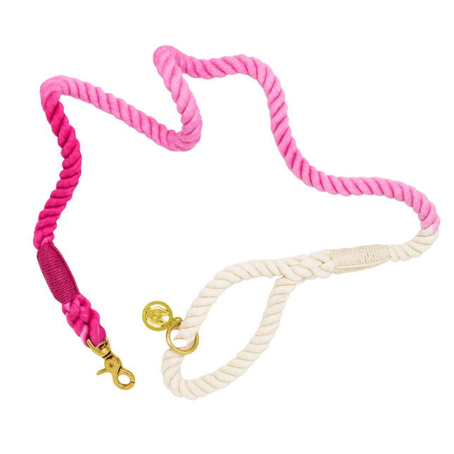Pink Papyrus - Ombre Rope Leash 6ft in Maggie Pink
