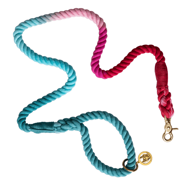 Pink Papyrus - Rope Leash 6ft in Micah Teal Red Ombre