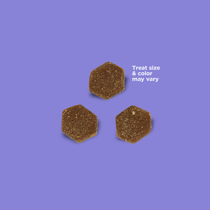 NutriSource Little Bites Turkey 6oz