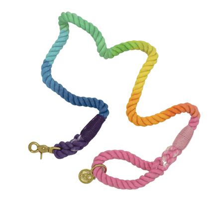 Pink Papyrus - Ombre Rope Leash 6ft in Nola Rainbow