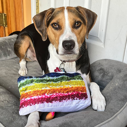 Doggijuana Get the Pawty Started Cake Slice Toy with Dogginip