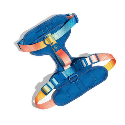 Pink Papyrus - Atlas Blue Harness